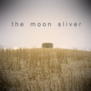 The Moon Sliver OST (album)