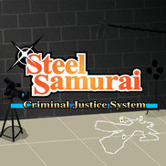 Criminal Justice System