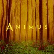 Animus II